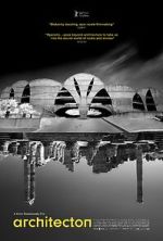 Watch Architecton Zoechip