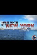 Watch Sharks and the City: New York Zoechip