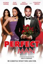 Watch The Perfect Man Zoechip