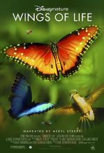 Watch Disneynature: Wings of Life Zoechip