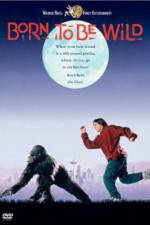 Watch Born to Be Wild Zoechip