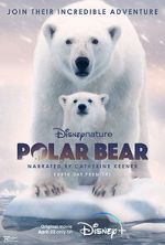 Watch Polar Bear Zoechip