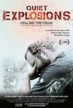 Watch Quiet Explosions: Healing the Brain Zoechip