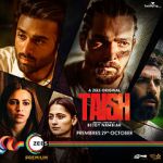 Watch Taish Zoechip