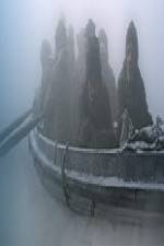 Watch Shackletons Frozen Hell Zoechip