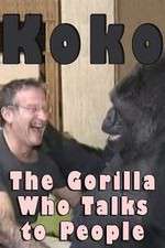 Watch Koko: The Gorilla Who Talks to People Zoechip