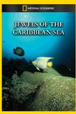 Watch National Geographic Jewels of the Caribbean Sea Zoechip