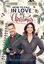 Watch How to Fall in Love by Christmas Zoechip