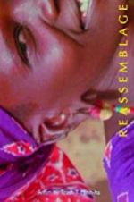 Watch Reassemblage: From the Firelight to the Screen Zoechip