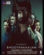 Watch Bhoothakaalam Zoechip