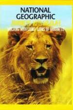Watch National Geographic:  Walking with Lions Zoechip