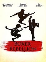 Watch Boxer Rebellion Zoechip