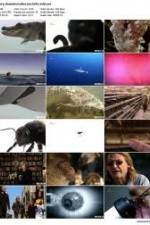 Watch History Channel Evolve: Sex Zoechip