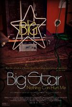 Watch Big Star: Nothing Can Hurt Me Zoechip