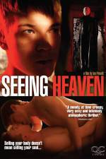 Watch Seeing Heaven Zoechip