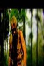 Watch The Legend of David Zoechip