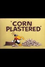 Watch Corn Plastered (Short 1951) Zoechip