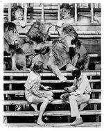 Watch Roar: The Most Dangerous Movie Ever Made Zoechip