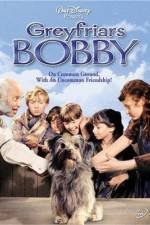 Watch Greyfriars Bobby The True Story of a Dog Zoechip