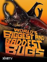 Watch World\'s Biggest and Baddest Bugs Zoechip
