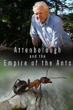 Watch Attenborough and the Empire of the Ants Zoechip