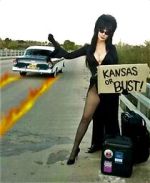 Watch The Elvira Show Zoechip