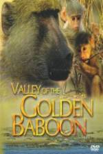 Watch National Geographic Golden Baboons Zoechip