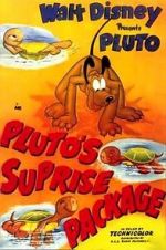 Watch Pluto\'s Surprise Package Zoechip