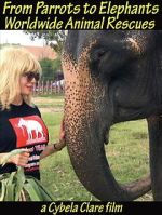 Watch From Parrots to Elephants: Worldwide Animal Rescues Zoechip