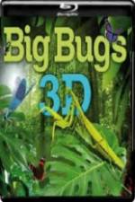 Watch Big Bugs in 3D Zoechip