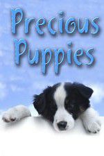 Watch Precious Puppies Zoechip
