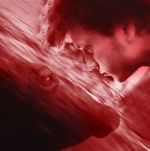 Watch We All Poop: All the Blood Zoechip