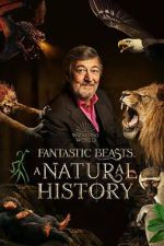 Watch Fantastic Beasts: A Natural History Zoechip