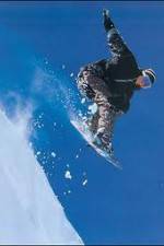 Watch The Art of Flight Zoechip