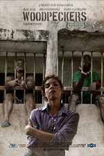 Watch Woodpeckers Zoechip