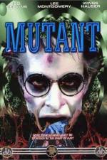 Watch Night Shadows Zoechip