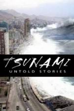 Watch Tsunami: Untold Stories Zoechip