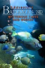 Watch Adventure Bahamas 3D - Mysterious Caves And Wrecks Zoechip