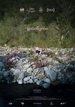 Watch Beginning Zoechip