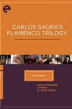 Watch Carmen Zoechip