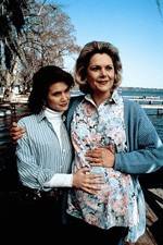 Watch Labor of Love The Arlette Schweitzer Story Zoechip