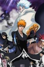 Watch Bleach: The Diamond Dust Rebellion Zoechip