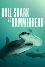 Watch Bull Shark vs Hammerhead Zoechip