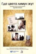 Watch Where the Yellow Lemon Blooms Zoechip