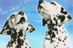 Watch 101 Dalmatians Sing Along Zoechip