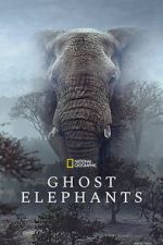 Watch Ghost Elephants Zoechip