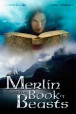 Watch Merlin and the Book of Beasts Zoechip