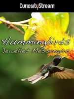 Watch Hummingbirds Jewelled Messengers Zoechip