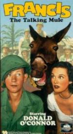 Watch Francis Zoechip