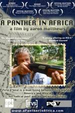 Watch A Panther in Africa Zoechip